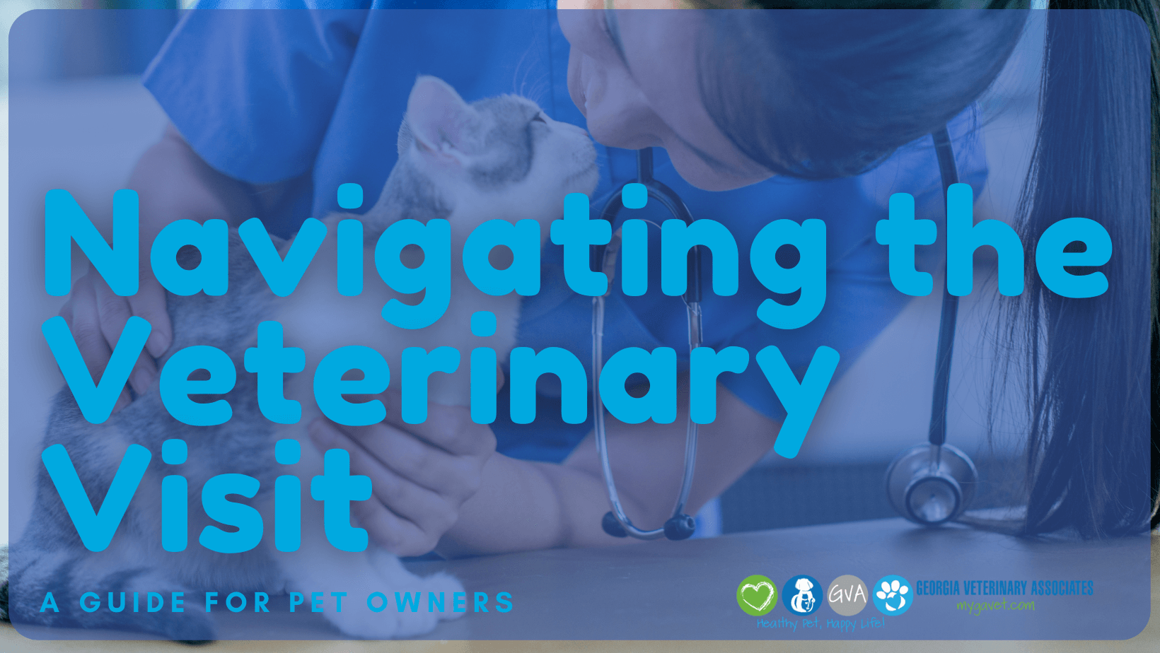 Veterinary Visit Guide
