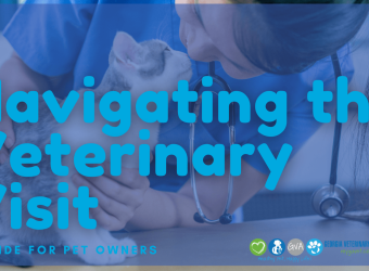 Navigating the Veterinary Visit: A Guide for Pet Owners