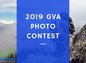 2019 GVA photo Contest