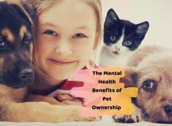 The Secret to Good Mental Health Could Be Having a Pet!